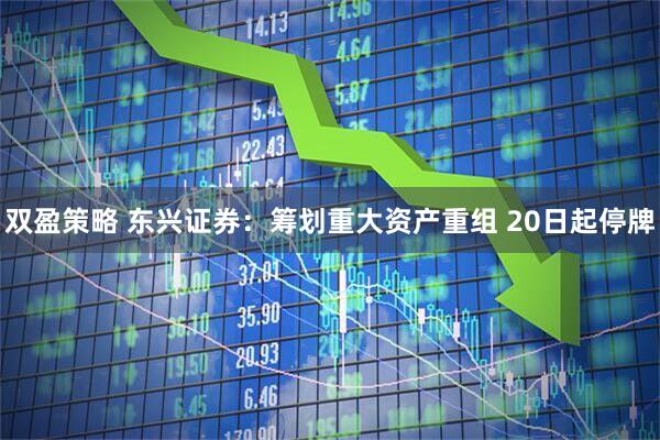 双盈策略 东兴证券：筹划重大资产重组 20日起停牌